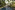 Peter Beavis - 